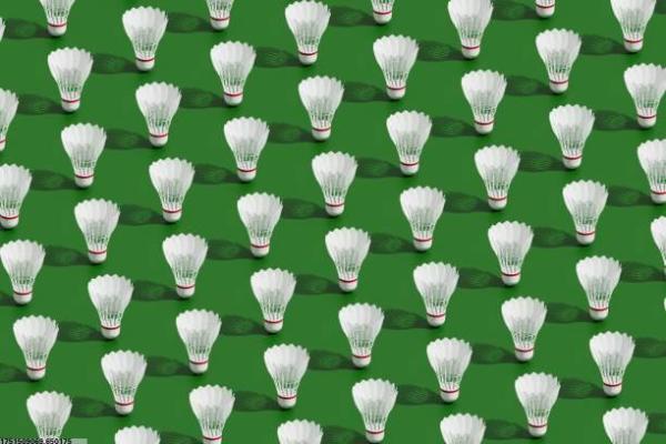 金川区2025中考体育项目指南