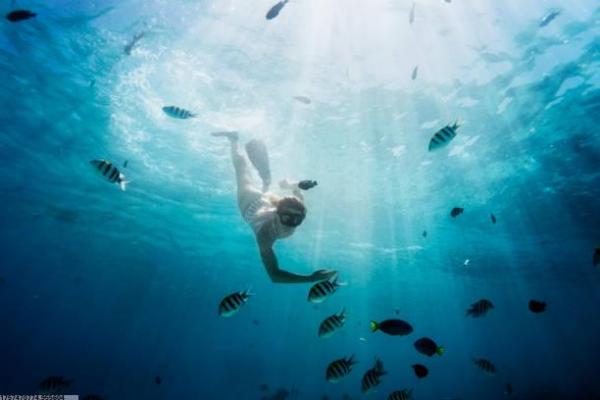 大连艺考体育舞蹈专项集训攻略