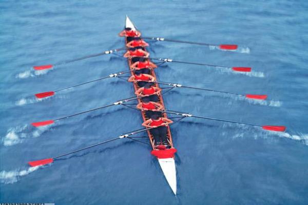 崇仁路体育培训中心公告内容详解